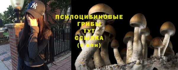 соль курить ск Балабаново