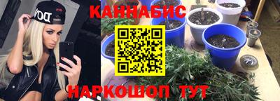 гидра Тайшет