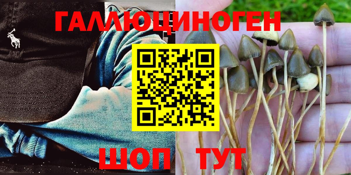 Галлюциногенные грибы мицелий Каспийск