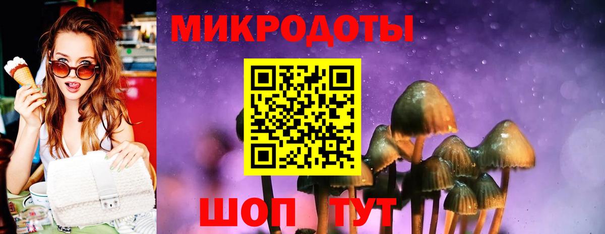 Галлюциногенные грибы MAGIC MUSHROOMS  Вход с VPN  Каспийск 